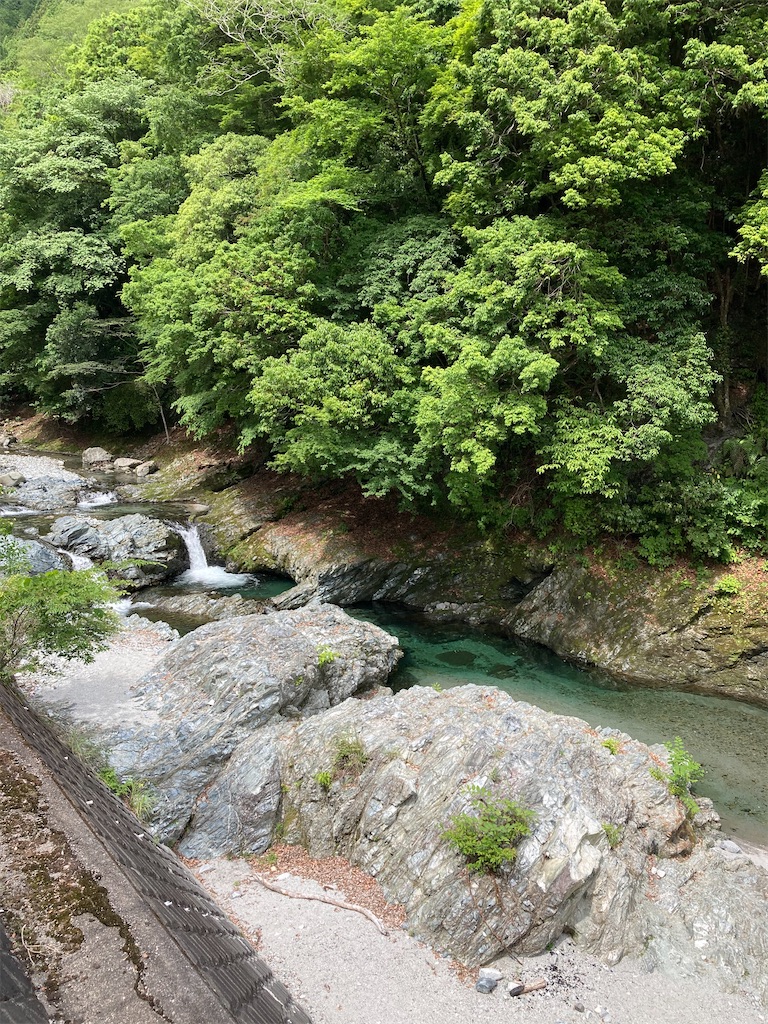 f:id:masaru-arameya:20210603210959j:image f:id:masaru-arameya:20210603210959j:image
