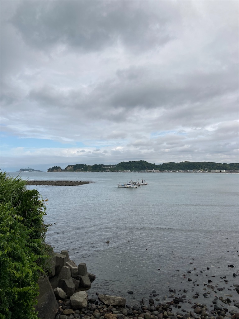 f:id:masaru-arameya:20210605152423j:image f:id:masaru-arameya:20210605152423j:image