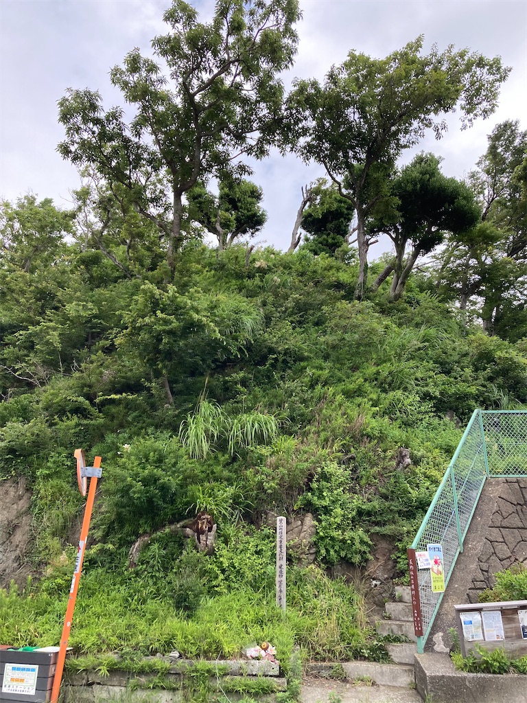 f:id:masaru-arameya:20210605155511j:image f:id:masaru-arameya:20210605155511j:image