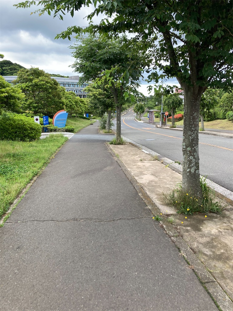 f:id:masaru-arameya:20210605155824j:image f:id:masaru-arameya:20210605155824j:image