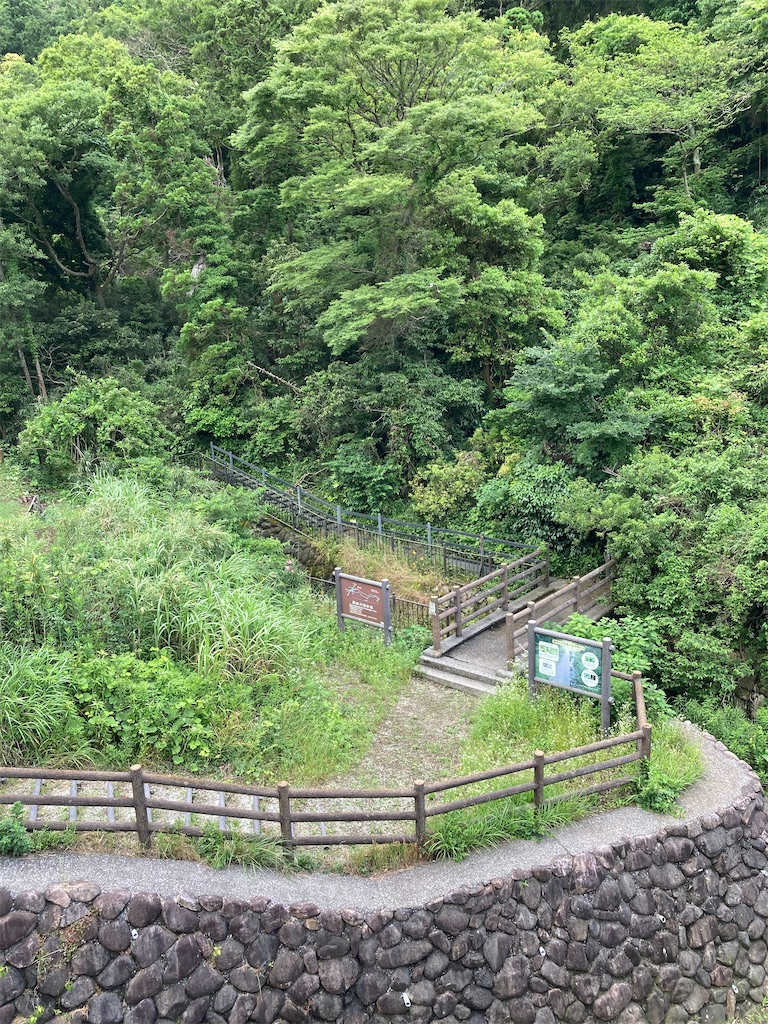 f:id:masaru-arameya:20210605160244j:image f:id:masaru-arameya:20210605160244j:image