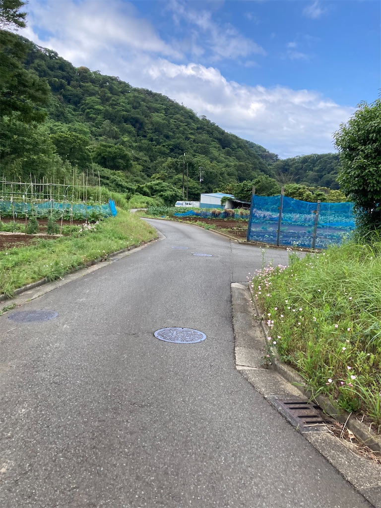 f:id:masaru-arameya:20210605160255j:image f:id:masaru-arameya:20210605160255j:image