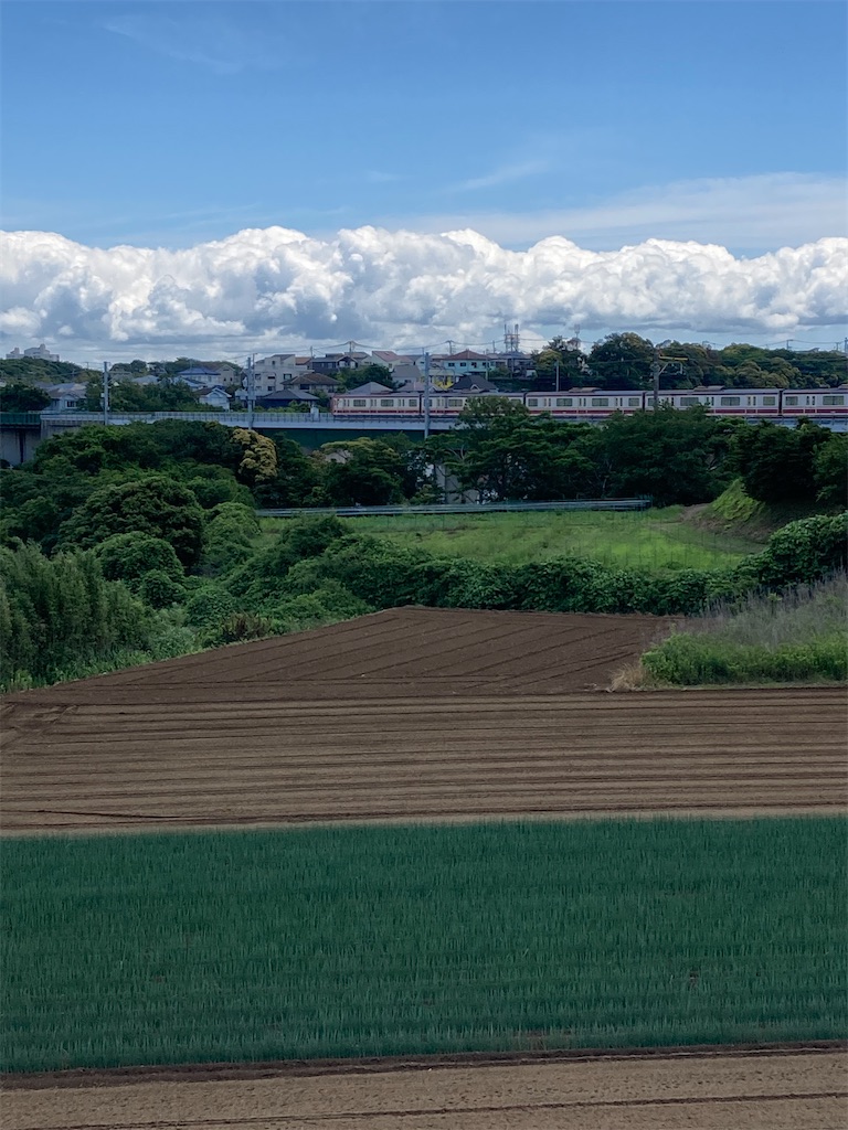 f:id:masaru-arameya:20210606151624j:image f:id:masaru-arameya:20210606151624j:image