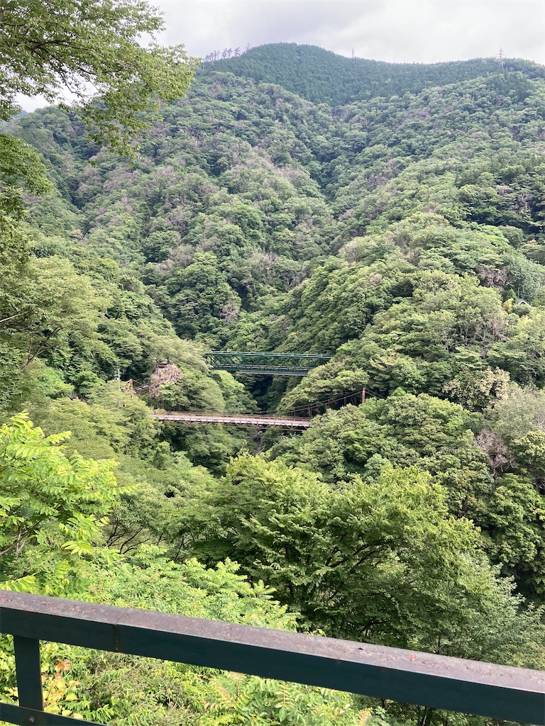 f:id:masaru-arameya:20210613071645j:image f:id:masaru-arameya:20210613071645j:image