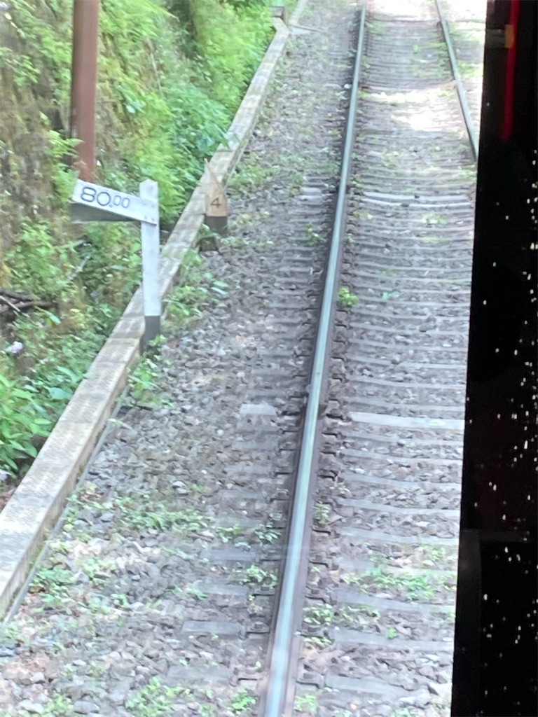 f:id:masaru-arameya:20210613071747j:image f:id:masaru-arameya:20210613071747j:image