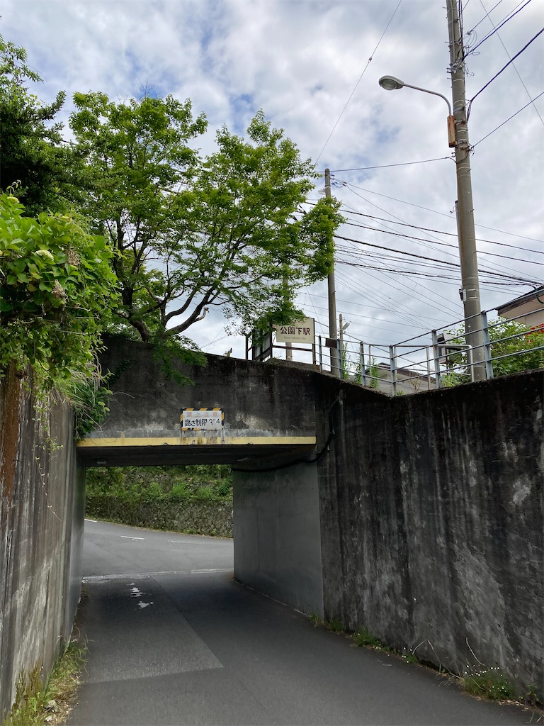 f:id:masaru-arameya:20210613073031j:image f:id:masaru-arameya:20210613073031j:image
