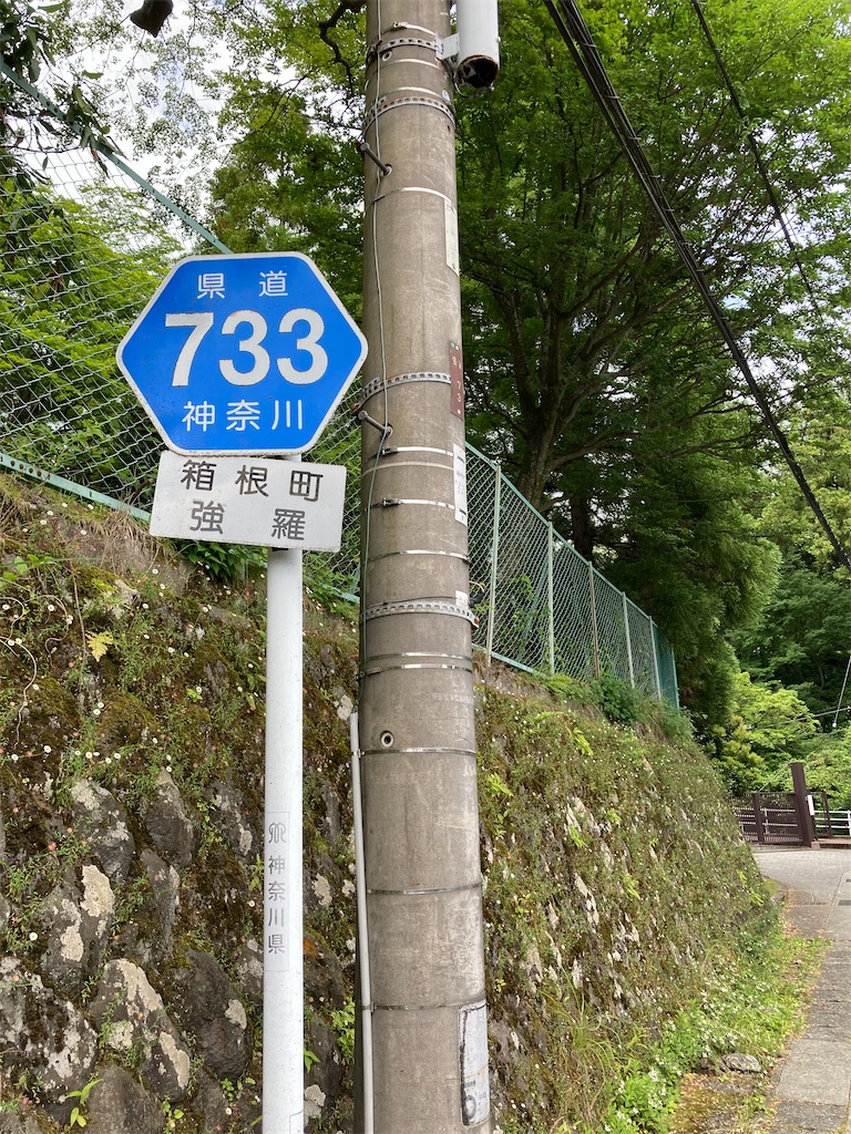 f:id:masaru-arameya:20210613073035j:image f:id:masaru-arameya:20210613073035j:image