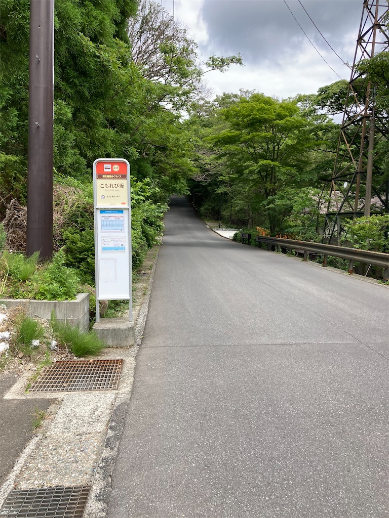 f:id:masaru-arameya:20210613073126j:image f:id:masaru-arameya:20210613073126j:image