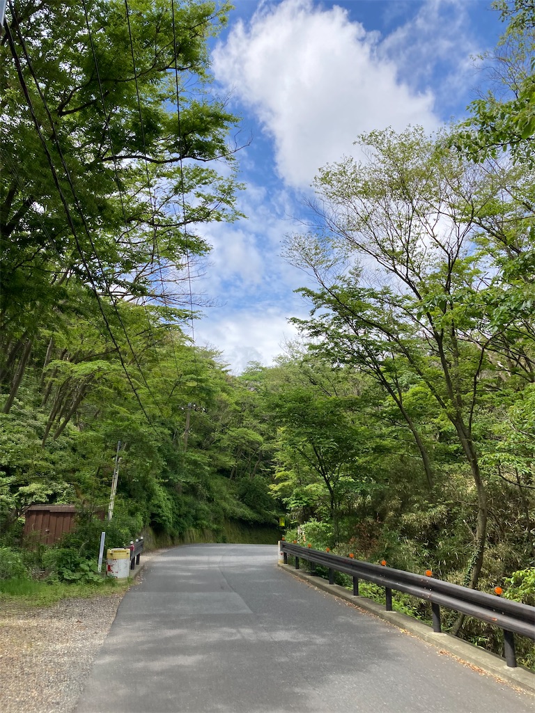 f:id:masaru-arameya:20210613073134j:image f:id:masaru-arameya:20210613073134j:image
