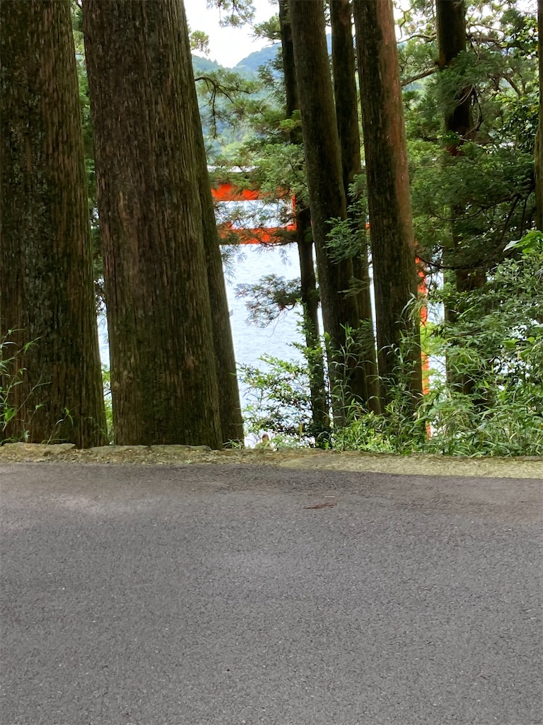 f:id:masaru-arameya:20210613073529j:image f:id:masaru-arameya:20210613073529j:image