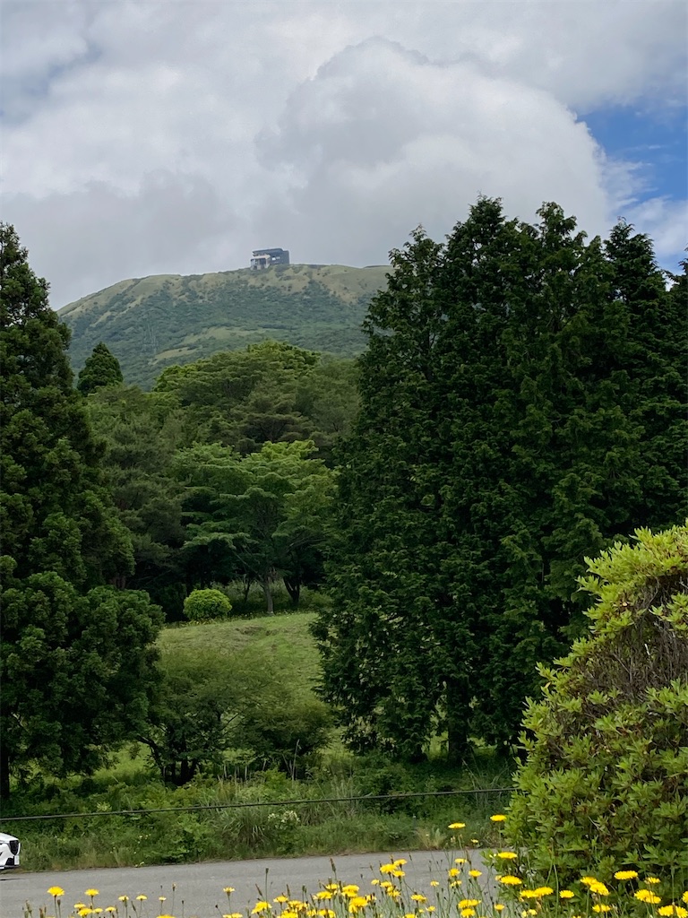 f:id:masaru-arameya:20210613073532j:image f:id:masaru-arameya:20210613073532j:image