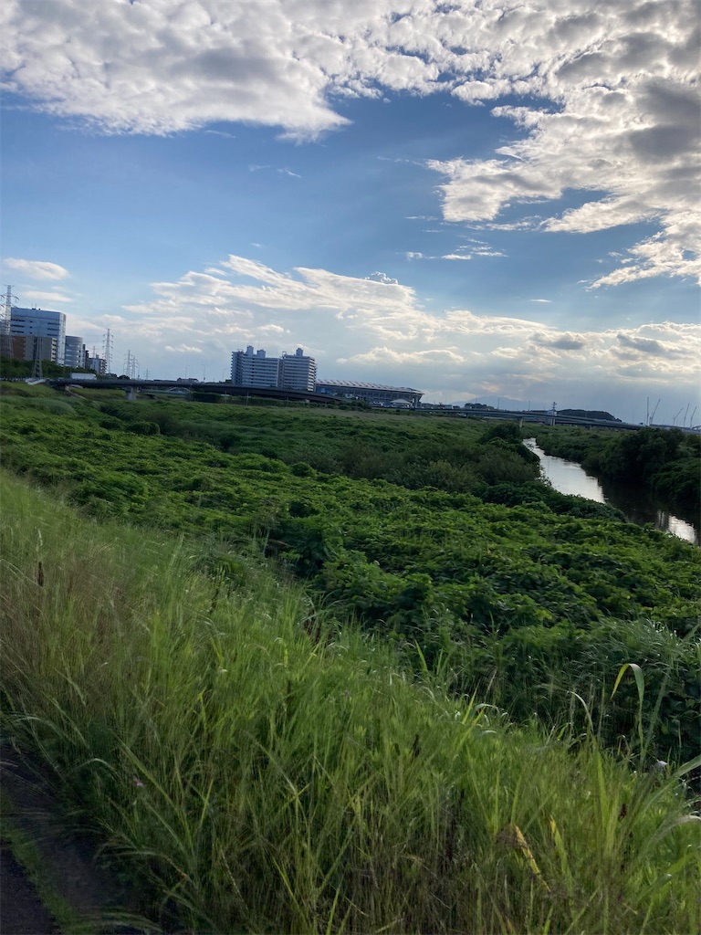 f:id:masaru-arameya:20210617205954j:image f:id:masaru-arameya:20210617205954j:image