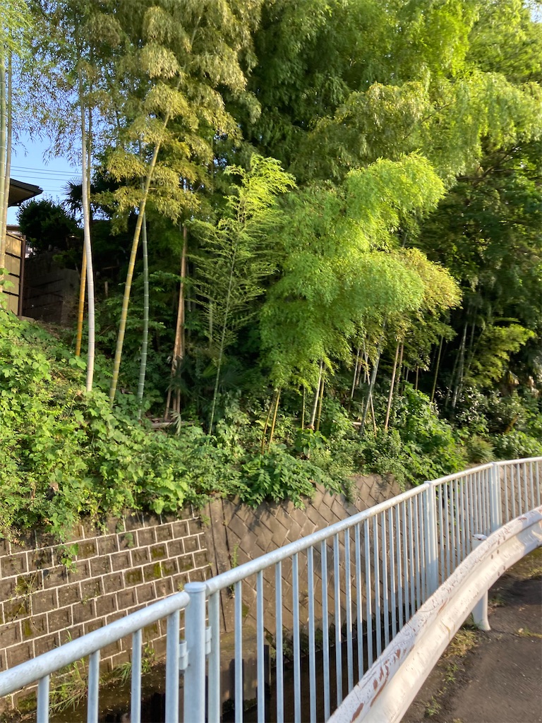 f:id:masaru-arameya:20210617210348j:image f:id:masaru-arameya:20210617210348j:image