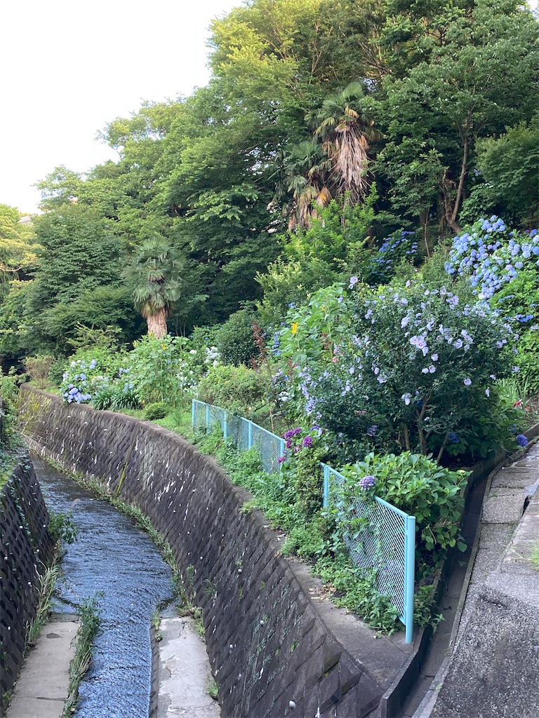 f:id:masaru-arameya:20210617210729j:image f:id:masaru-arameya:20210617210729j:image