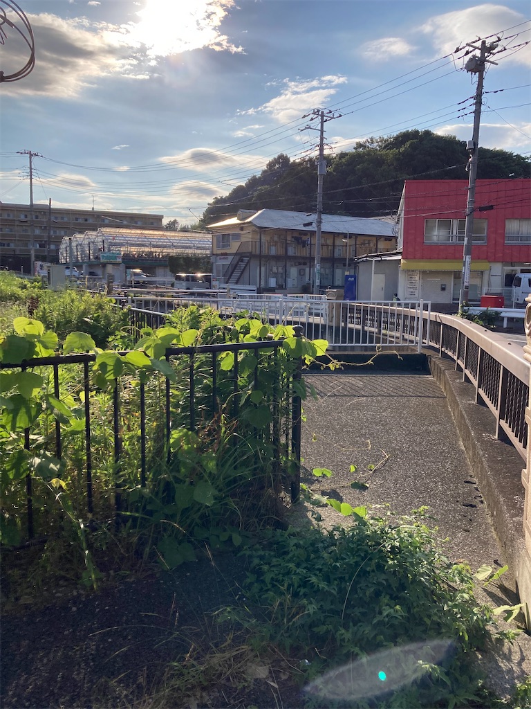 f:id:masaru-arameya:20210617210732j:image f:id:masaru-arameya:20210617210732j:image