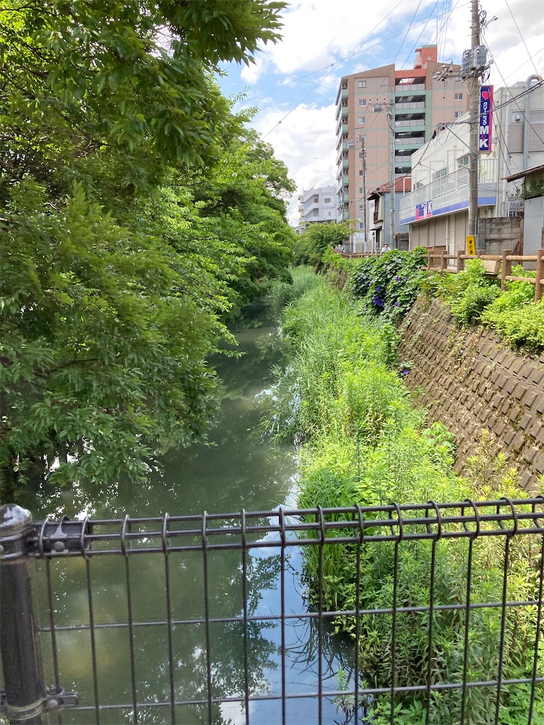f:id:masaru-arameya:20210624132233j:image f:id:masaru-arameya:20210624132233j:image