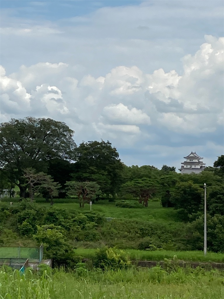 f:id:masaru-arameya:20210624132843j:image f:id:masaru-arameya:20210624132843j:image