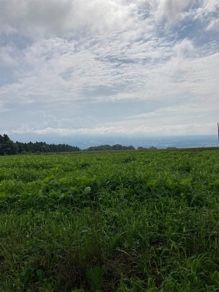 f:id:masaru-arameya:20210712064252j:image f:id:masaru-arameya:20210712064252j:image