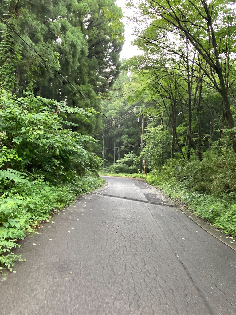 f:id:masaru-arameya:20210712064255j:image f:id:masaru-arameya:20210712064255j:image