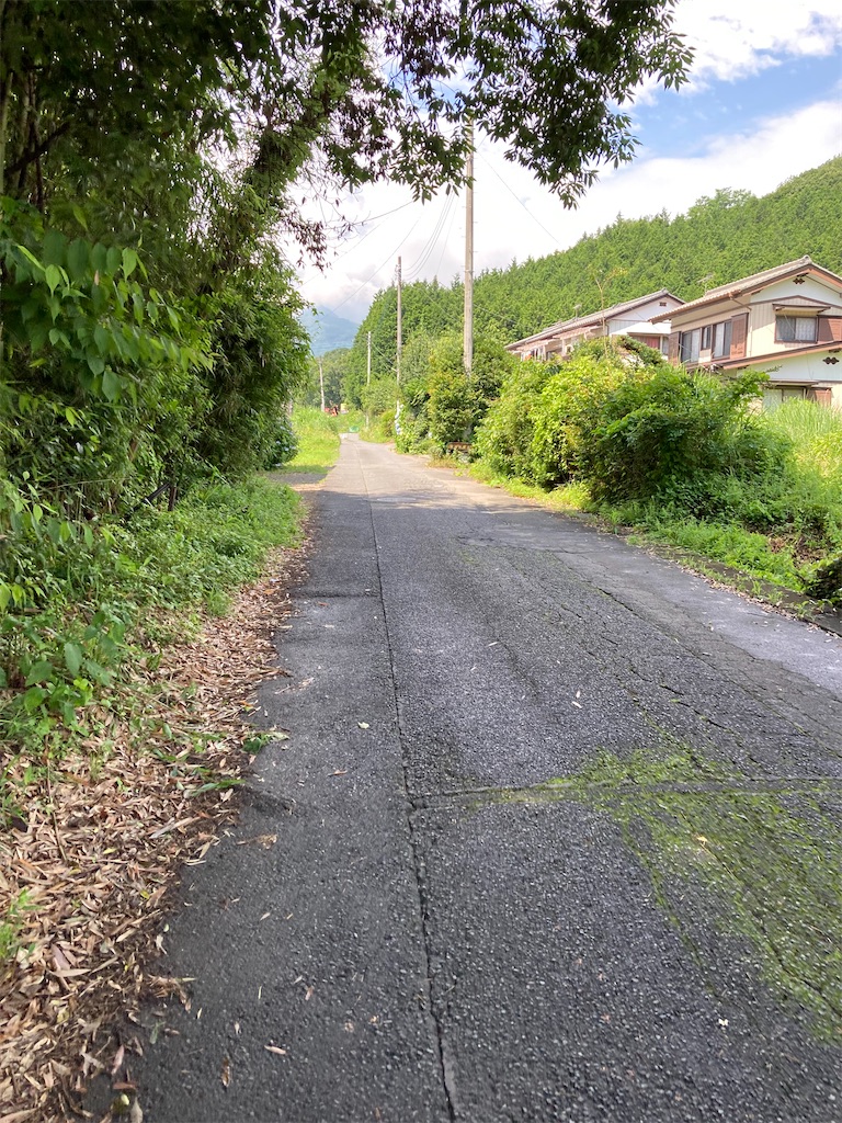 f:id:masaru-arameya:20210712065054j:image f:id:masaru-arameya:20210712065054j:image