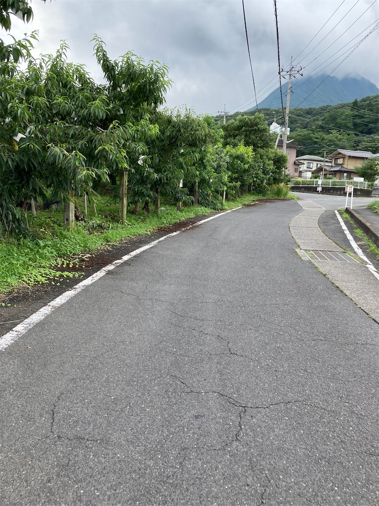 f:id:masaru-arameya:20210712065347j:image f:id:masaru-arameya:20210712065347j:image