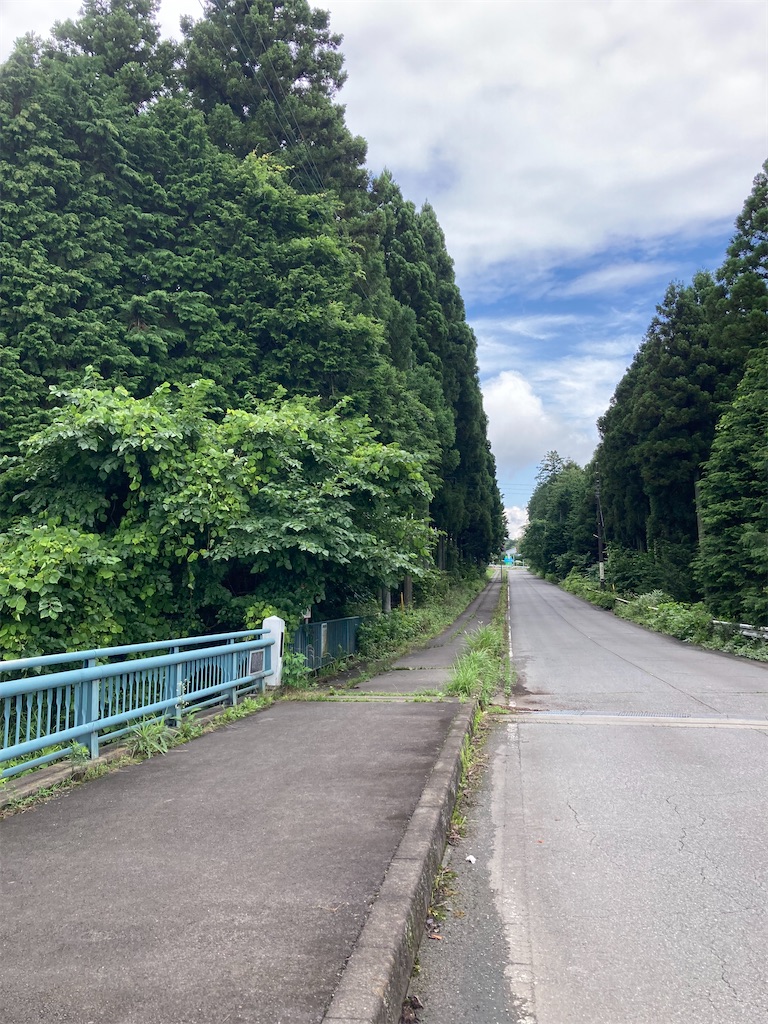 f:id:masaru-arameya:20210712065508j:image f:id:masaru-arameya:20210712065508j:image