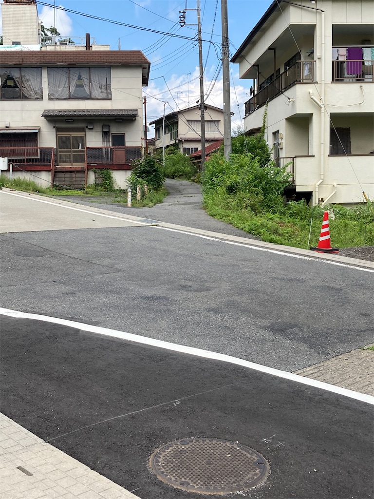 f:id:masaru-arameya:20210712065652j:image f:id:masaru-arameya:20210712065652j:image