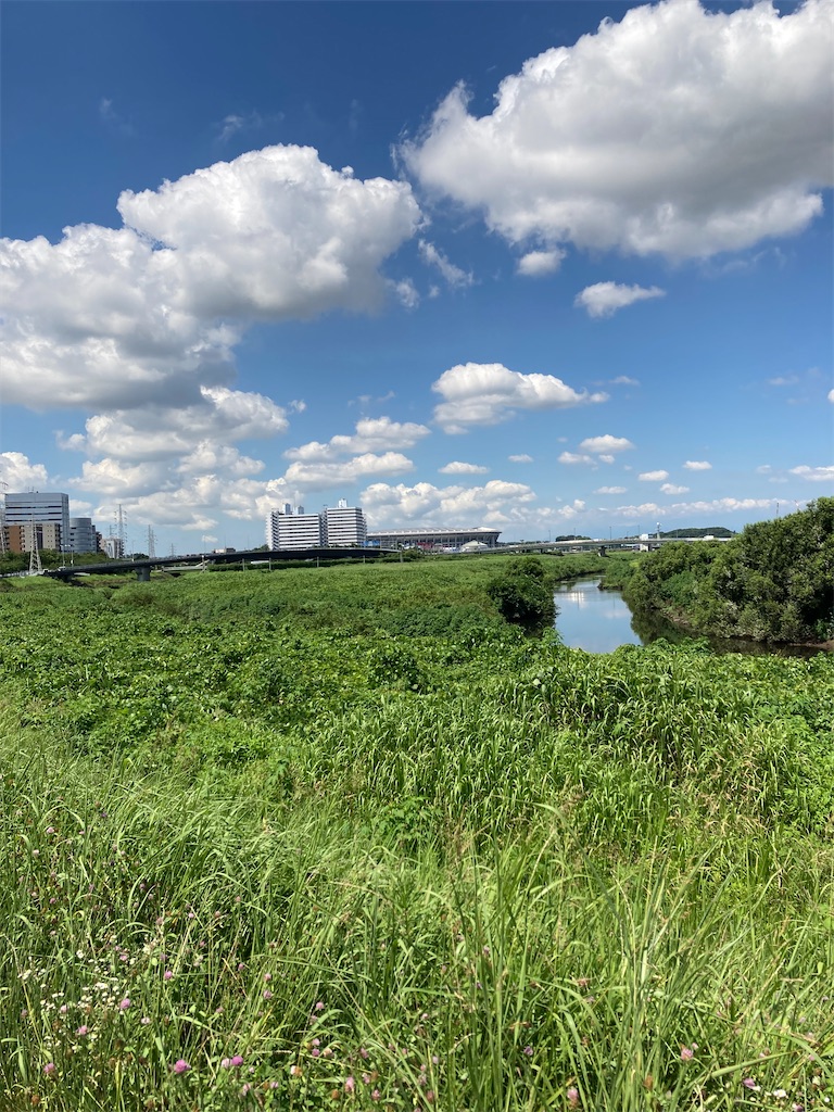 f:id:masaru-arameya:20210722175859j:image f:id:masaru-arameya:20210722175859j:image
