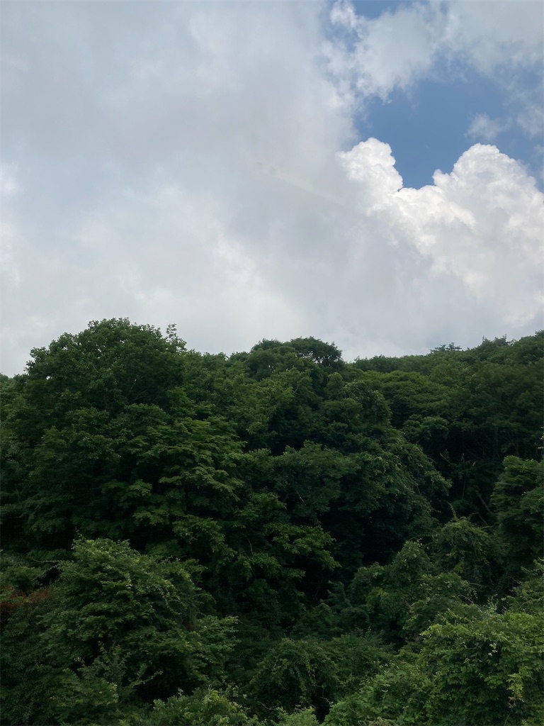 f:id:masaru-arameya:20210724193205j:image f:id:masaru-arameya:20210724193205j:image