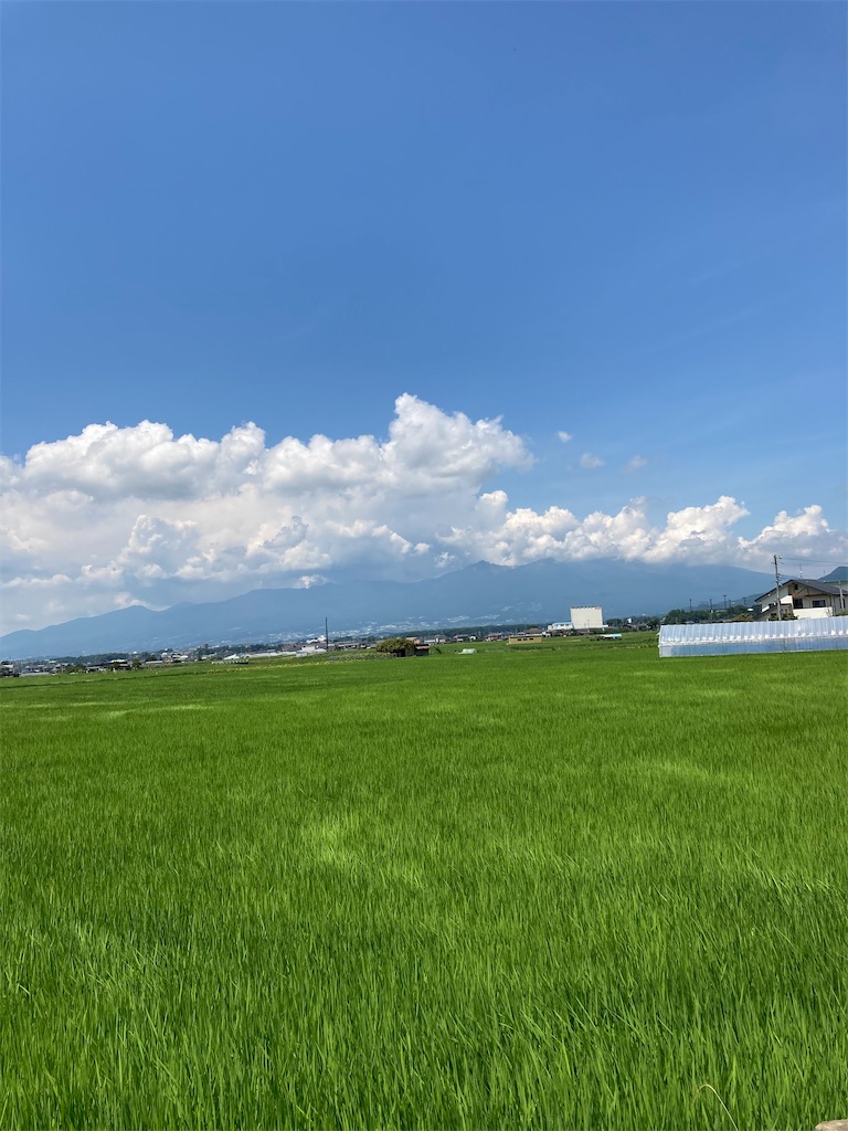 f:id:masaru-arameya:20210724200423j:image f:id:masaru-arameya:20210724200423j:image