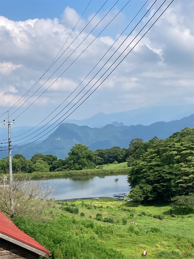 f:id:masaru-arameya:20210724201434j:image f:id:masaru-arameya:20210724201434j:image