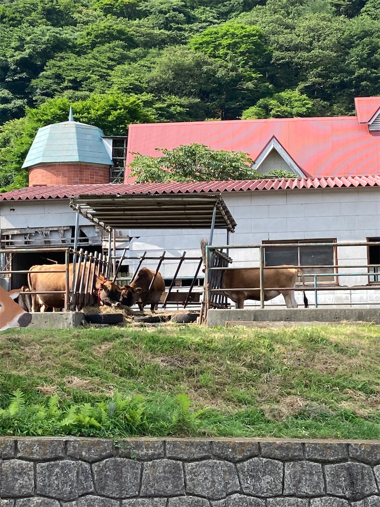 f:id:masaru-arameya:20210724201439j:image f:id:masaru-arameya:20210724201439j:image