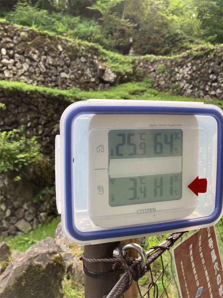 f:id:masaru-arameya:20210724201808j:image f:id:masaru-arameya:20210724201808j:image