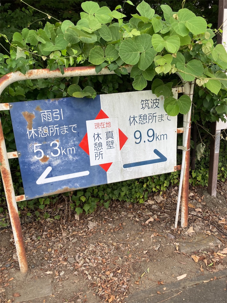 f:id:masaru-arameya:20210727133844j:image f:id:masaru-arameya:20210727133844j:image