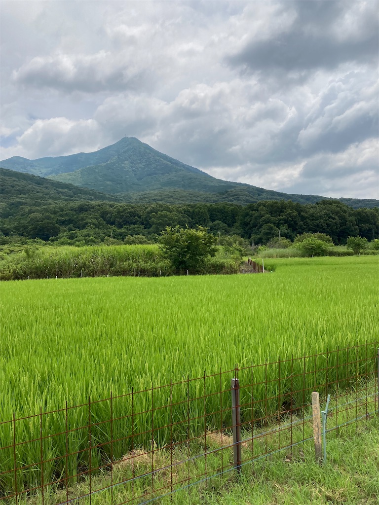 f:id:masaru-arameya:20210727134520j:image f:id:masaru-arameya:20210727134520j:image