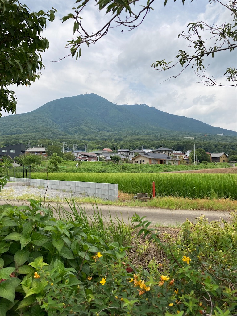 f:id:masaru-arameya:20210727134823j:image f:id:masaru-arameya:20210727134823j:image