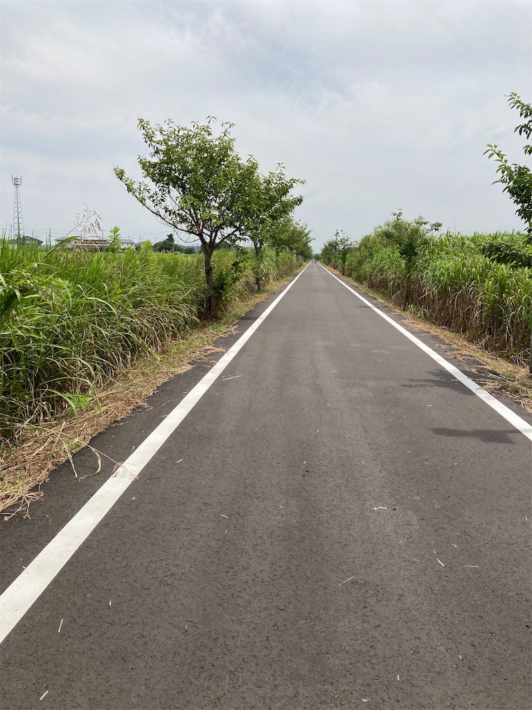 f:id:masaru-arameya:20210727135111j:image f:id:masaru-arameya:20210727135111j:image
