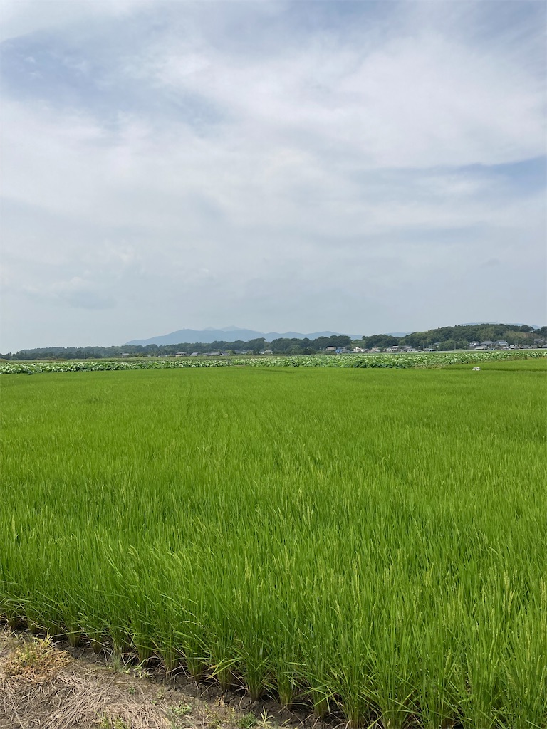 f:id:masaru-arameya:20210727135855j:image f:id:masaru-arameya:20210727135855j:image