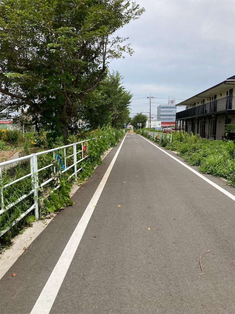 f:id:masaru-arameya:20210727140012j:image f:id:masaru-arameya:20210727140012j:image