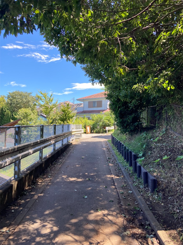 f:id:masaru-arameya:20210819182219j:image f:id:masaru-arameya:20210819182219j:image