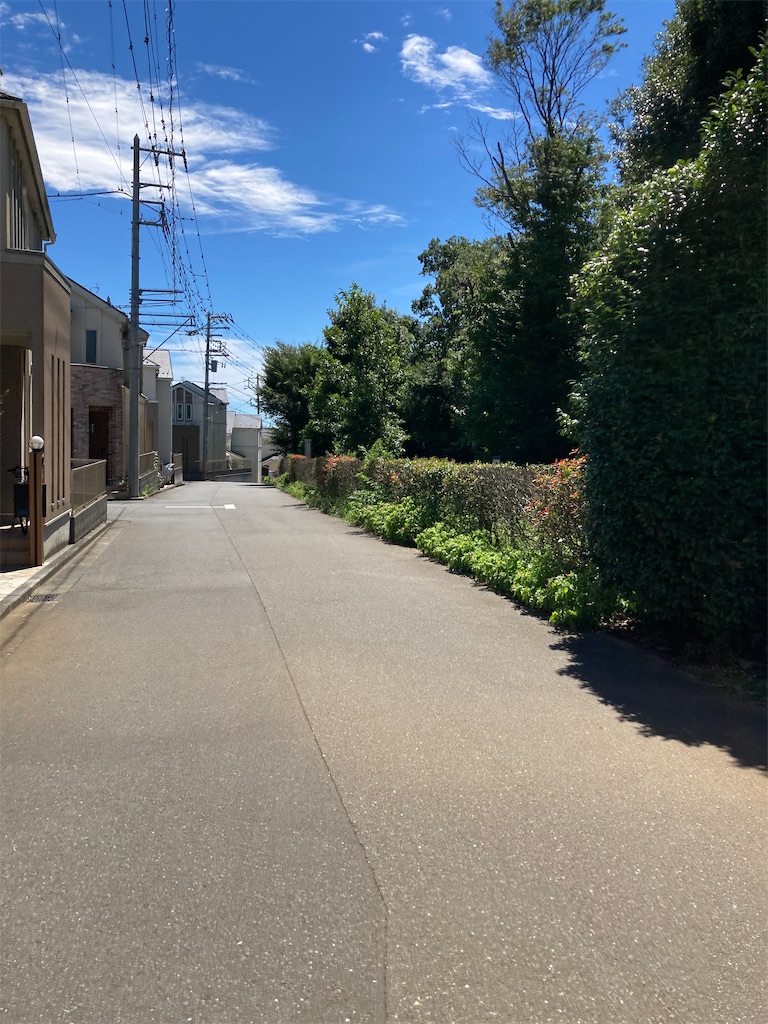 f:id:masaru-arameya:20210819182222j:image f:id:masaru-arameya:20210819182222j:image