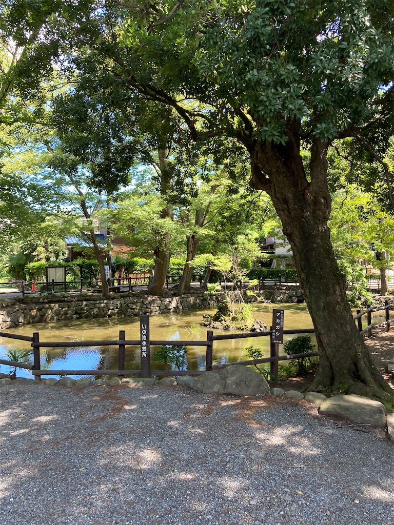 f:id:masaru-arameya:20210819182543j:image f:id:masaru-arameya:20210819182543j:image