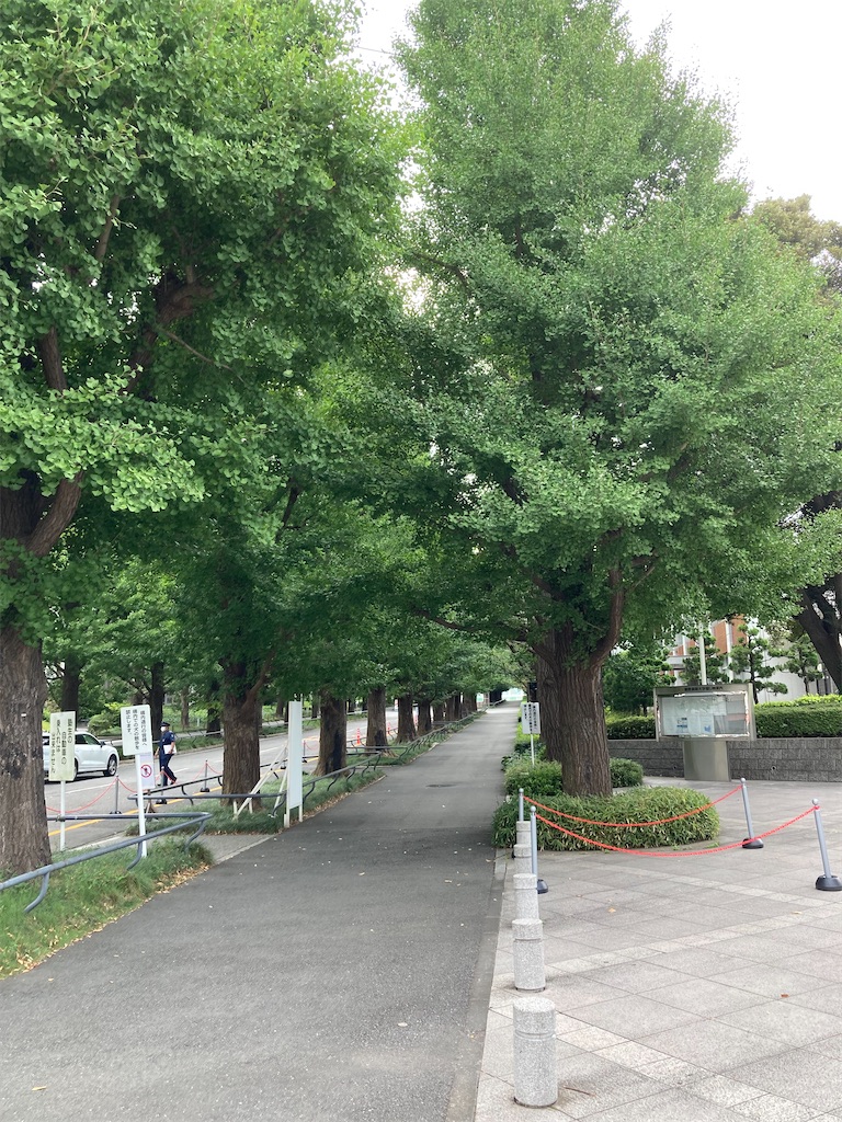 f:id:masaru-arameya:20210822213927j:image f:id:masaru-arameya:20210822213927j:image