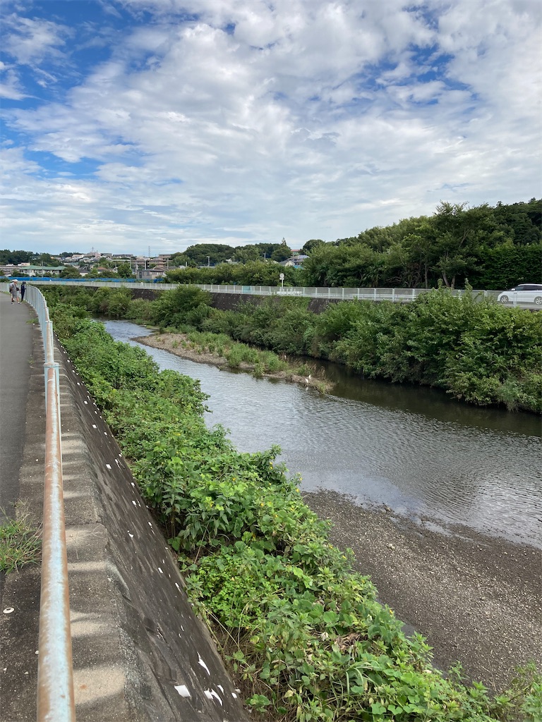 f:id:masaru-arameya:20210822214231j:image f:id:masaru-arameya:20210822214231j:image