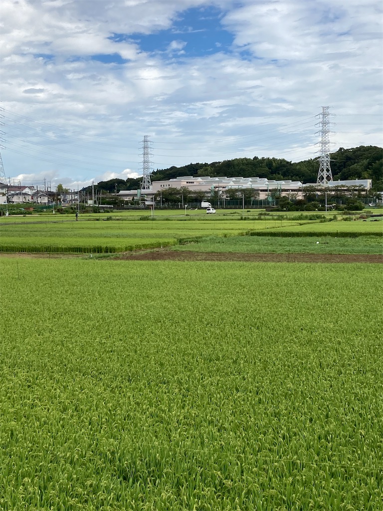 f:id:masaru-arameya:20210822214308j:image f:id:masaru-arameya:20210822214308j:image