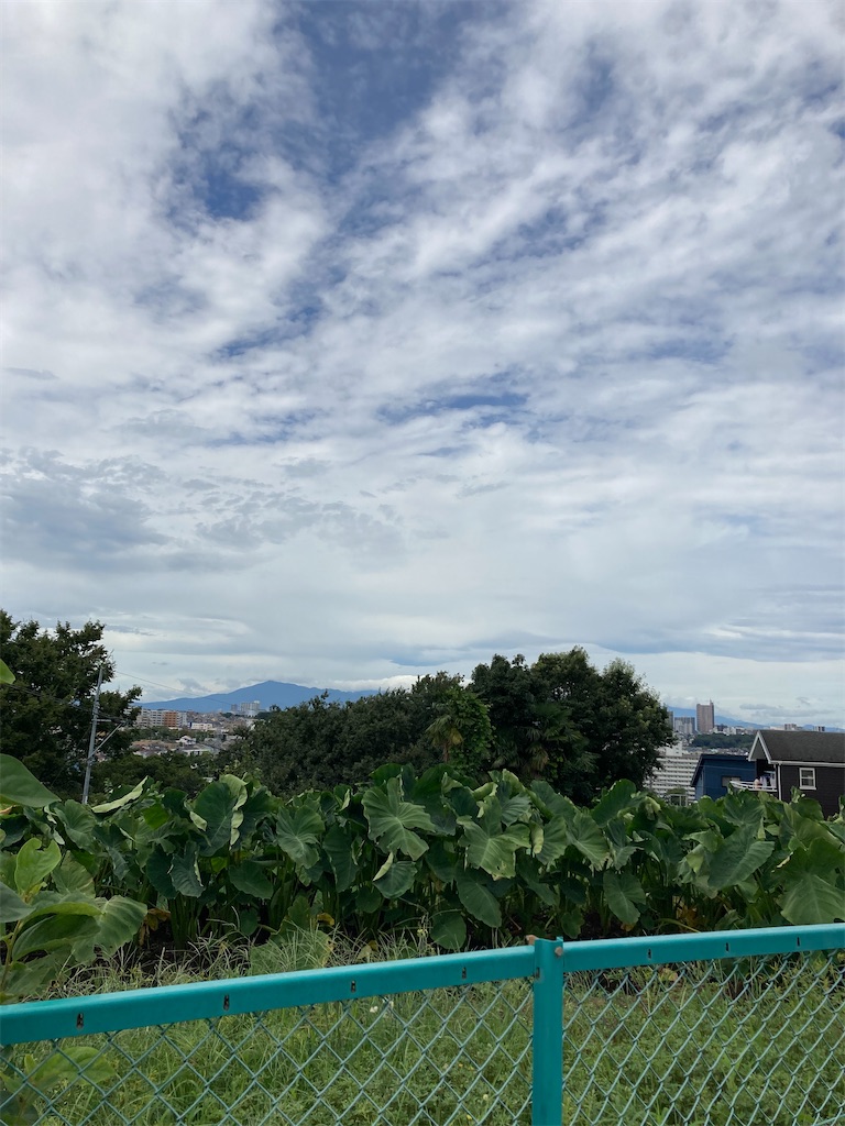 f:id:masaru-arameya:20210824055821j:image f:id:masaru-arameya:20210824055821j:image