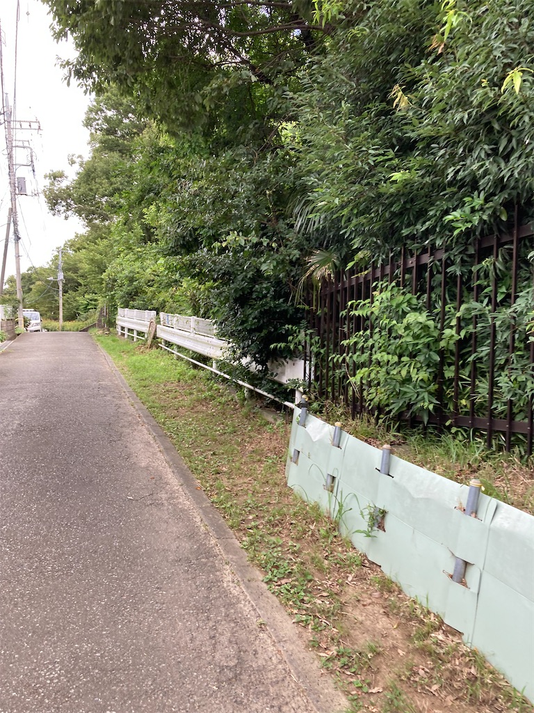 f:id:masaru-arameya:20210824060212j:image f:id:masaru-arameya:20210824060212j:image