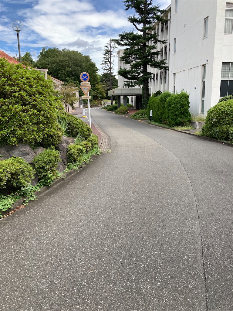 f:id:masaru-arameya:20210824060834j:image f:id:masaru-arameya:20210824060834j:image