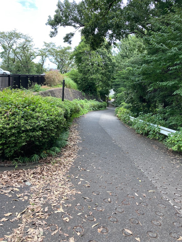 f:id:masaru-arameya:20210824060838j:image f:id:masaru-arameya:20210824060838j:image