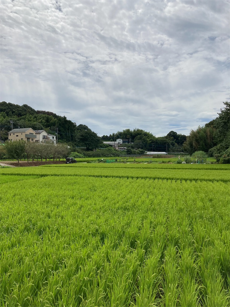 f:id:masaru-arameya:20210824061019j:image f:id:masaru-arameya:20210824061019j:image